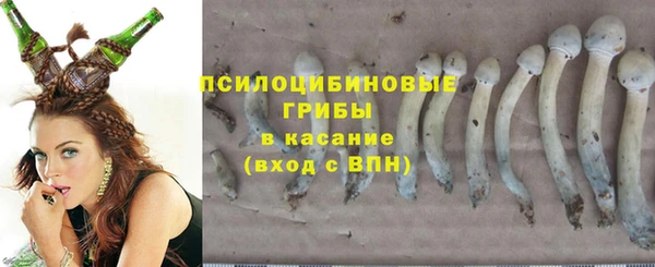 spice Вязьма