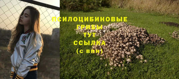 spice Вязьма