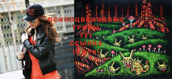 каннабис Вяземский