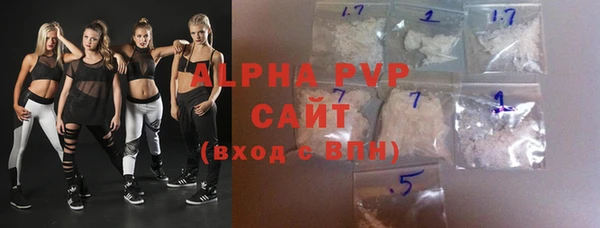 молекула духа Снежногорск